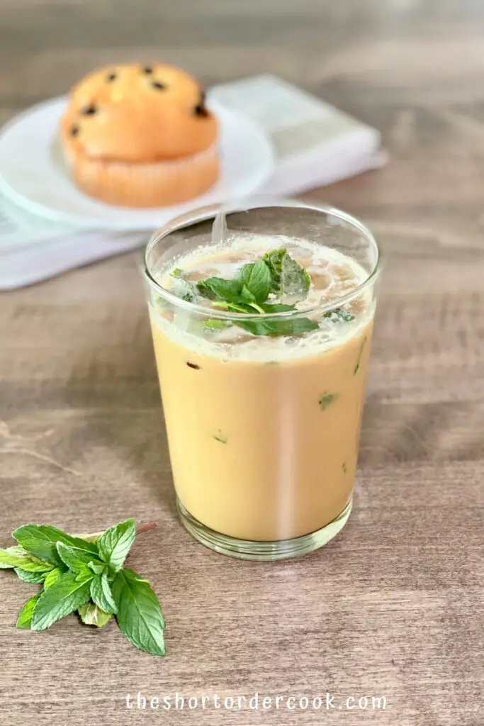 Mint Mojito Iced Coffee- non alcoholic summer drink