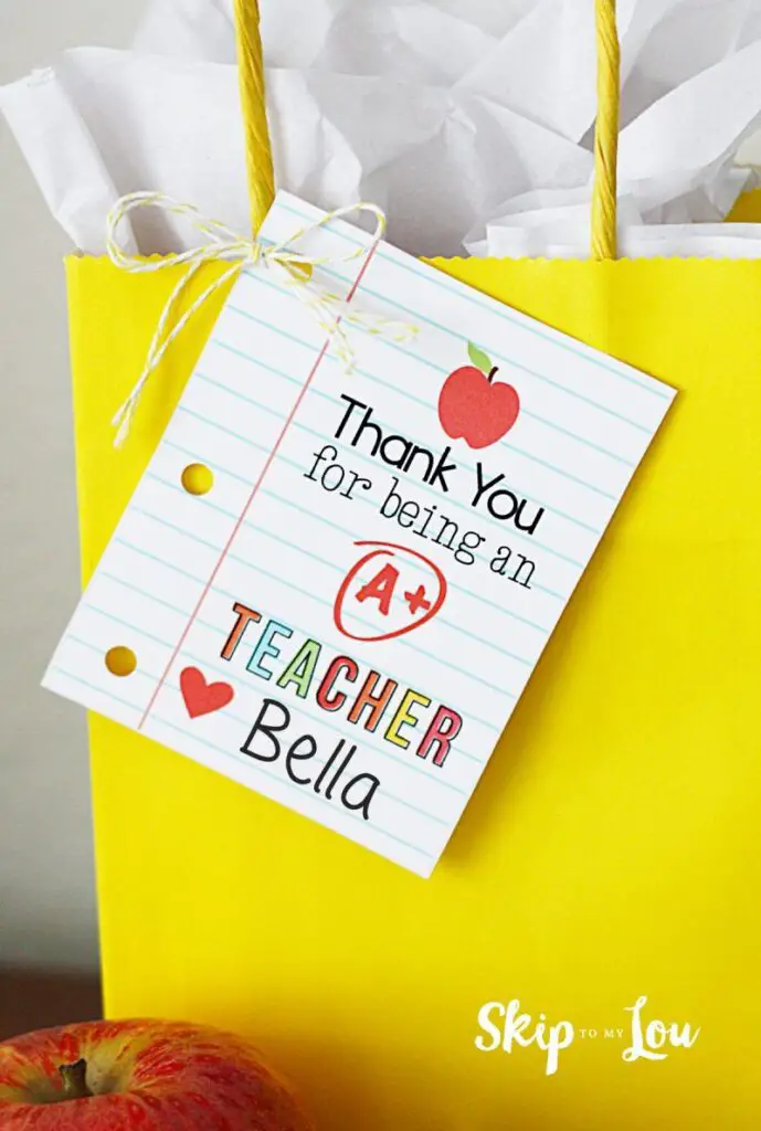 Pringles Chips Teacher Appreciation Gift Idea - Just Add Confetti