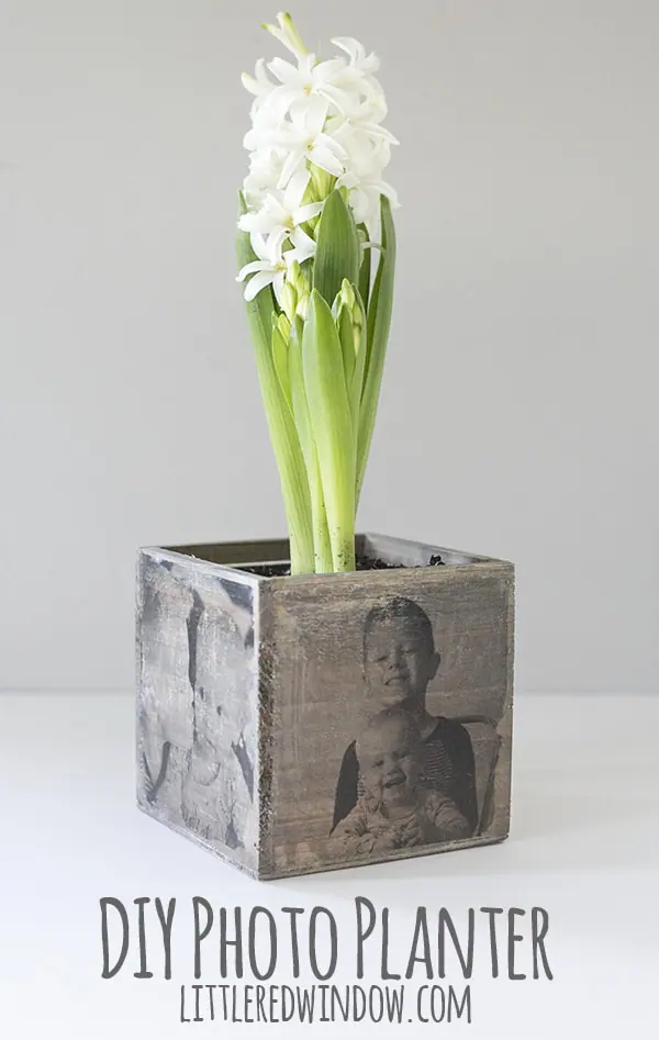 creative diy photo planter for mothers day gifts
