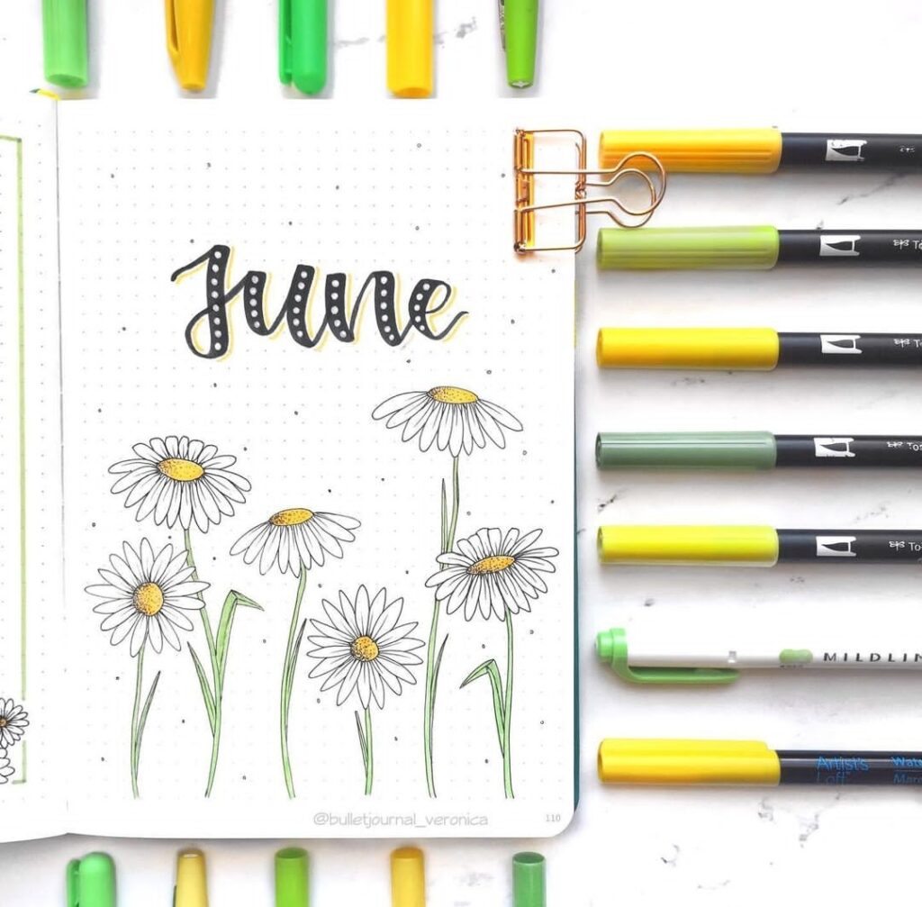 daisy June bullet journal ideas