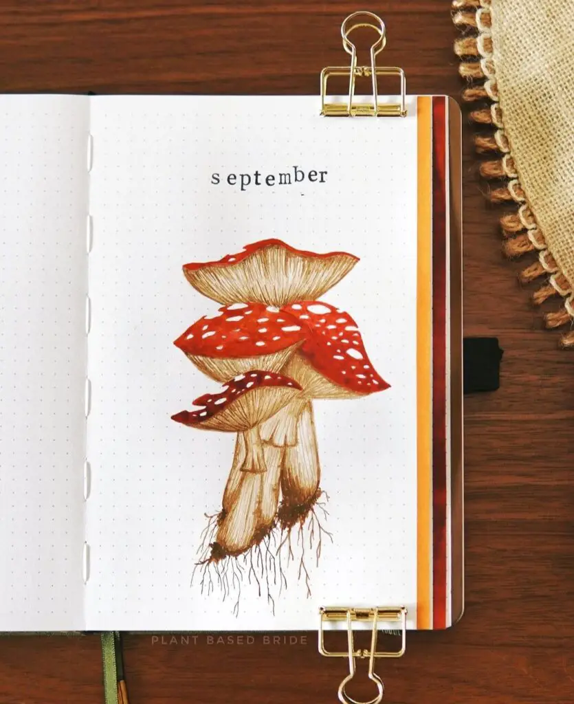 September bullet journal covers