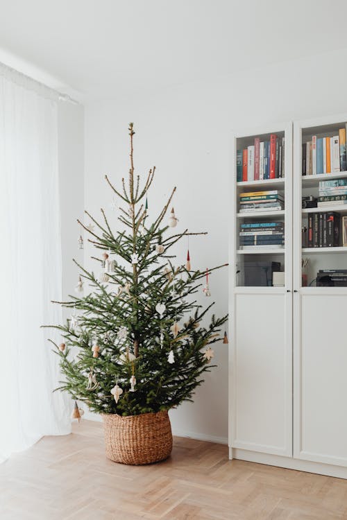 Free Simple Christmas Tree Stock Photo