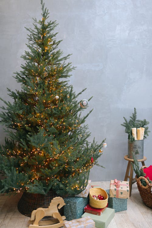 Free Photograph of Gifts Under a Green Christmas Tree Stock Photo