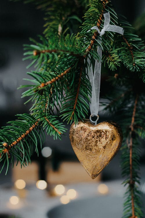 Free Christmas Ball on Christmas Tree Stock Photo