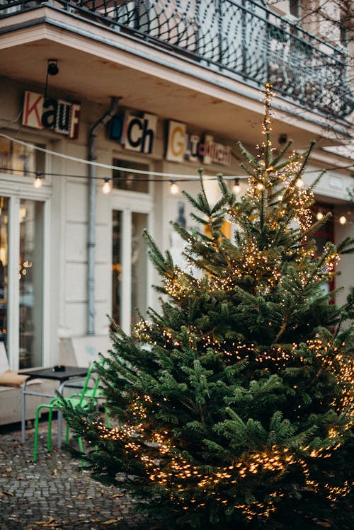 Free Green Christmas Tree With Yellow String Lights Stock Photo