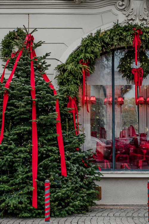 Free Christmas Tree in front of a Building Stock Photo