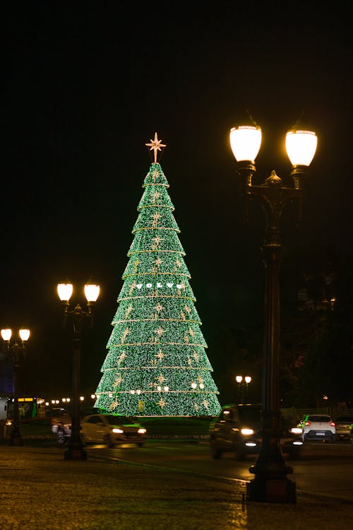 Free Christmas Tree by Street at Night Stock Photo